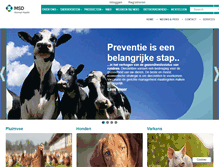 Tablet Screenshot of msd-animal-health.nl